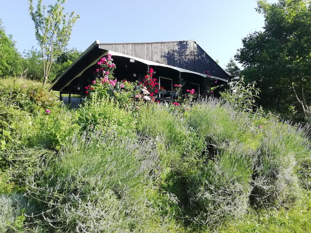 Baranja Black Hill'S Gajic Exterior photo